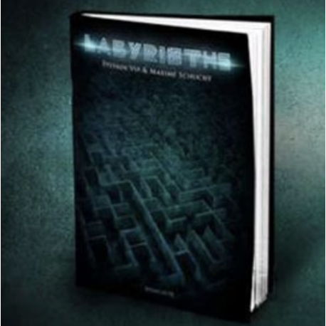 Book-test Labyrinthe, de S. Vip & M. Schucht