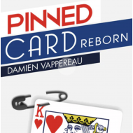 Pinned Card Reborn, de D. Vappereau