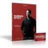 DVD Blinking Effect, de JL Bertrand
