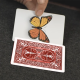 Caterfly
