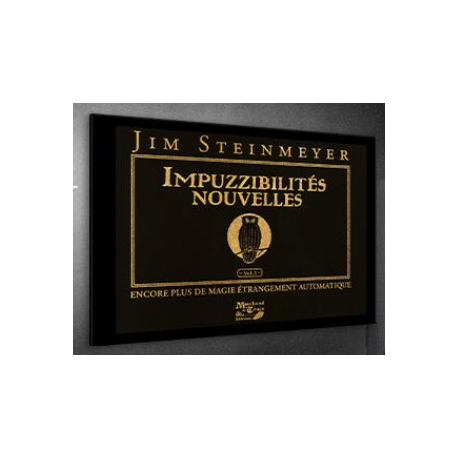 Impuzzibilites Nouvelles, de J. Steinmeyer