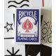 Jeu Bicycle Special ESP (+ 15 tours)