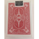 Bicycle Paris back