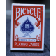 Bicycle Paris back