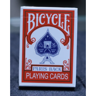 Bicycle Paris back