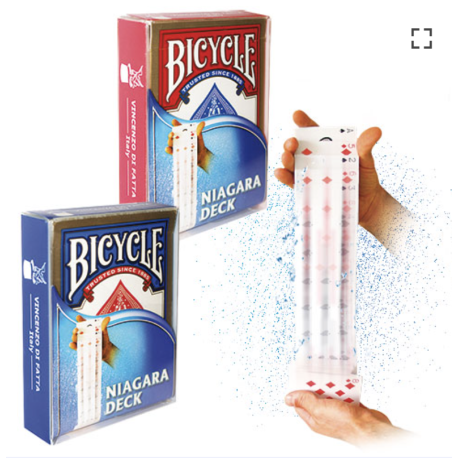 Jeu électrique Bicycle (Niagara)