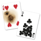 Jeu Bicycle Gaff (Gaff Deck)
