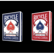 Bicycle Paris Back