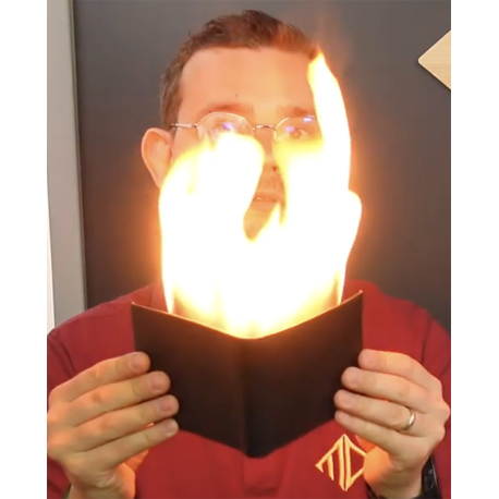 Zap Wallet (portefeuille en feu électronique)