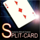 Split Card, de M. Chatelain