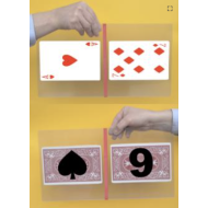 Plexiglas Prediction (Jumbo)