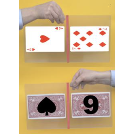 Plexiglas Prediction (Jumbo)