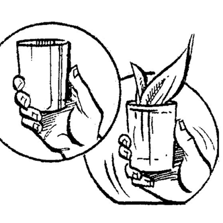 Flashosilk, de J. Merlin