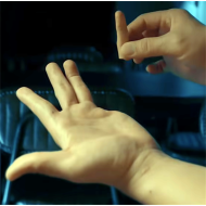 Crazy Sam's Finger Illusion, de S. Huang