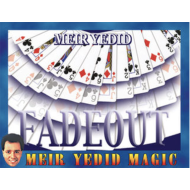 Fade-out de M. Yedid