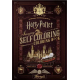 Livre magique Harry Potter, de Theory11