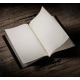 Livre magique Harry Potter, de Theory11