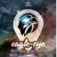 Eagle Eye, de A.C.S. Mansiet